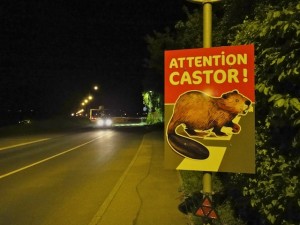 Panneau Castor à Verbois de nuit